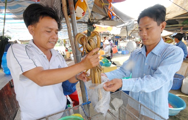 Chợ[-]sỉ[-]cá,[-]cua[-]đồng[-]ở[-]vùng[-]rốn[-]lũ[-]Đồng[-]Tháp[-]Mười